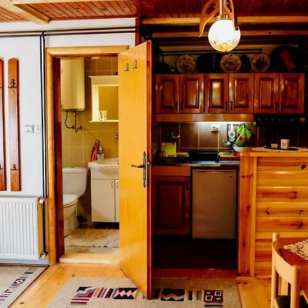 Apartments Predah, Mijaila Radovica 13A Zlatibor Exterior photo