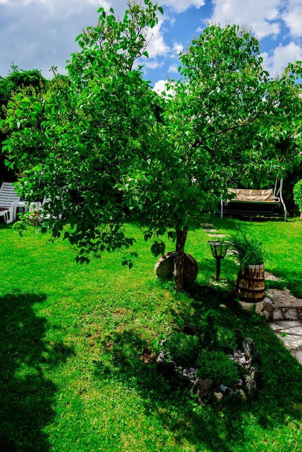 公寓 Predah, Mijaila Radovica 13a 兹拉蒂博尔